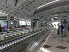 -香港国际机场-T2航站楼
