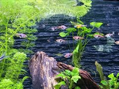 -上海海洋水族馆