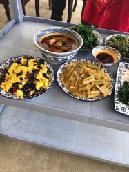 -上美四季动物农场