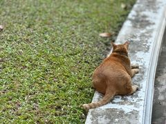 -曼谷国家博物馆