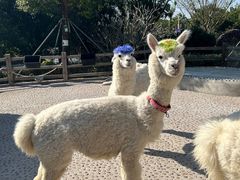 -珠海海泉湾神秘岛亲子乐园