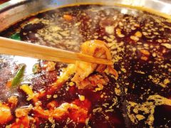 -中和远东火锅兔(老店)
