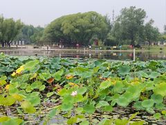 -太阳宫公园