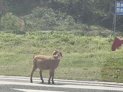 -南京市无想山景区