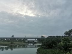 -宝安西湾红树林湿地公园