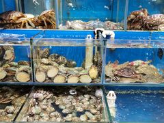-岳各庄批发市场(西四环中路店)