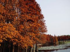 -厦门园林博览苑