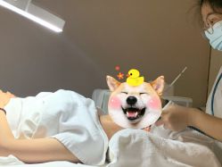 -美丽田园