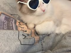 -Doors独立剧情密室(东门分店)