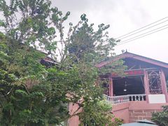 -桃源山庄·水蜜桃采摘·柴火鸡·烧烤团建(龙泉山店)