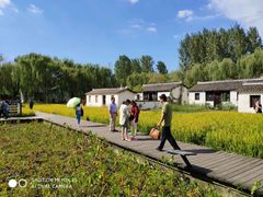 -溱湖国家湿地公园