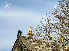 -护国法轮寺