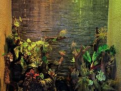 -泰适SPA馆丨精油·按摩·足道(后海地铁口店)