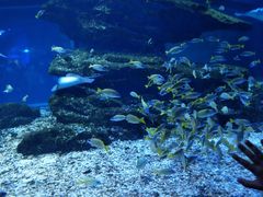 -海合安武汉极地海洋公园