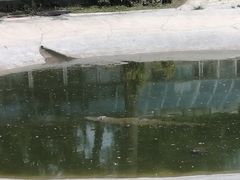 -秦皇岛野生动物园