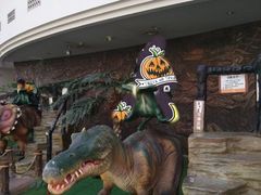 -陕西自然博物馆