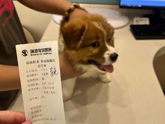 -虹泰宠物医院 ·旗舰店·24h(南秀路店)