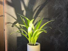 -虹之森·小馆