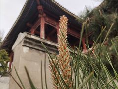 -香山公园