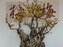 -颐和园