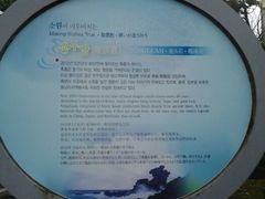 android_upload_pic-龙头岩(Dragon Head Rock)