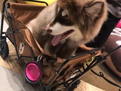 -M Stand(BFC外滩金融中心店)