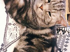-平行世界·猫咖(首经贸店)