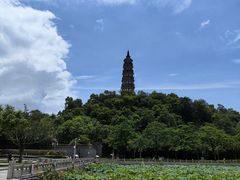 -顺峰山公园