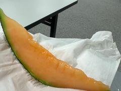 -油麻地果栏
