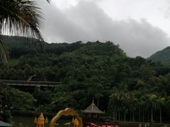 -西双版纳原始森林公园