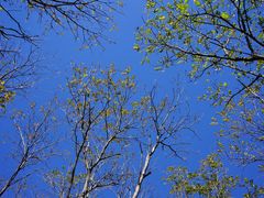 景点-玉渡山自然风景区