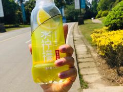-秀丽东方