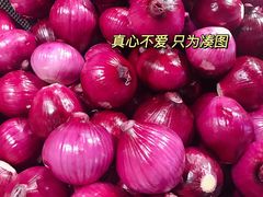 -东方悦邻Mall