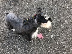 -尚贤河湿地