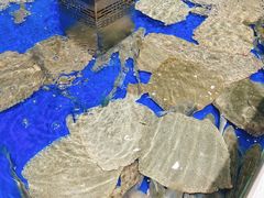 -盒马鲜生(顺义店)