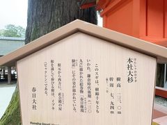 -奈良公园