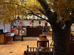 -大江户·温泉洗浴(浑南店)