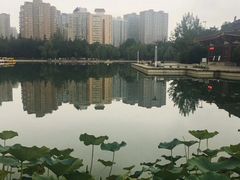 -莲湖公园