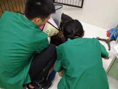 -瑞鹏宠物医院·微创内窥镜·骨外科·牙科(翠竹分院)