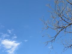 -白水寺森林公园