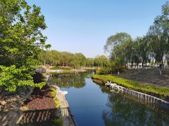 -大兴滨河森林公园