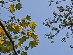 -河南省黄河迎宾馆