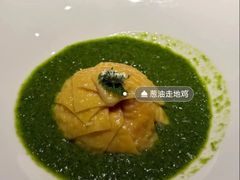 -觀芷隐轩