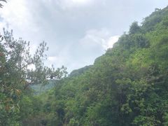 -广州白江湖森林公园