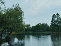 -洋湖国家湿地公园