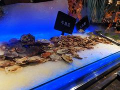 海鲜-韩京炭火烤肉自助料理(柯桥万达店)