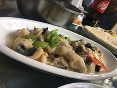 -特种渔场