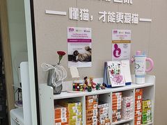 -格蕾宠物医院24H·猫科·肿瘤科·骨科中心(福州总院)