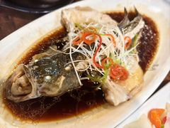 -陈麻婆豆腐(旗舰店)