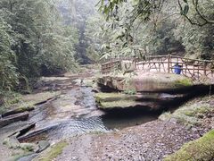 -碧峰峡风景区